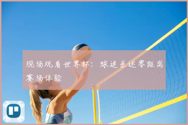 现场观看世界杯：球迷亲述零距离赛场体验