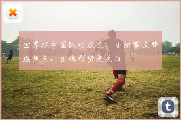 世界杯中国队对波兰:小组赛交锋成焦点,出线形势受关注
