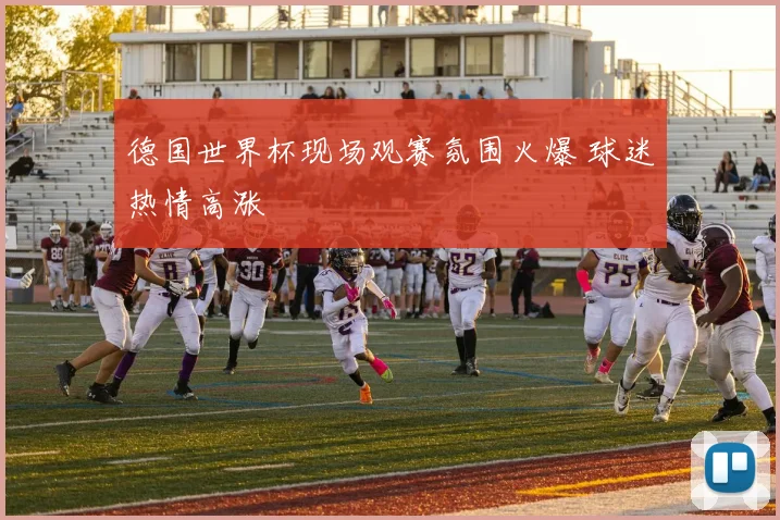 德国世界杯现场观赛氛围火爆 球迷热情高涨