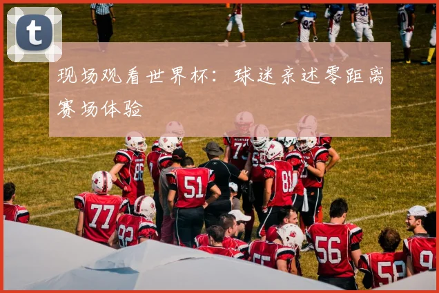 现场观看世界杯:球迷亲述零距离赛场体验