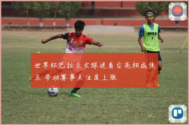 世界杯巴拉圭女球迷看台亮相成焦点 带动赛事关注度上涨