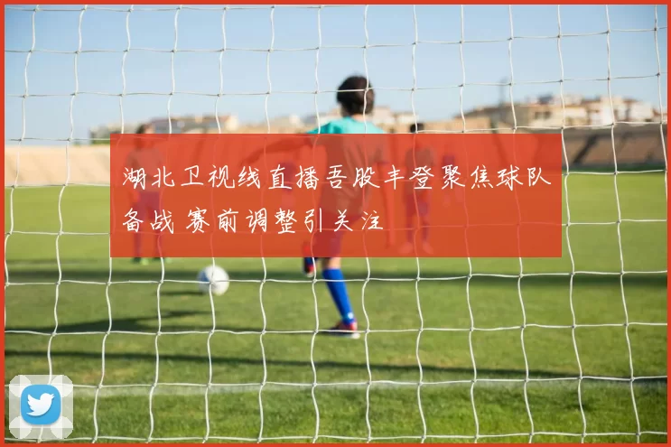 湖北卫视线直播吾股丰登聚焦球队备战 赛前调整引关注