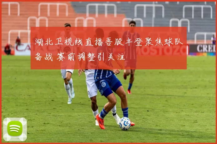 湖北卫视线直播吾股丰登聚焦球队备战 赛前调整引关注