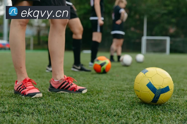 米兰体育网页版登录界面官方网站 - 登录入口APP 封面图